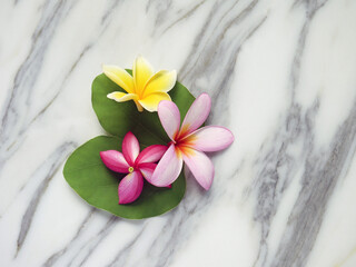 Fototapeta na wymiar Spa relaxing beautiful tropical flowers for wallpaper or texture