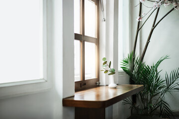 A small tree with green leaf in white ceramic vase on wooden counter by window and indoor plants, decorationn and interior design in living room