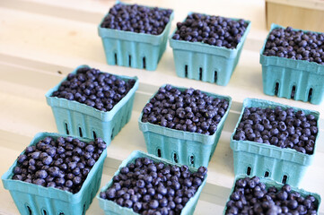 market blueberries 