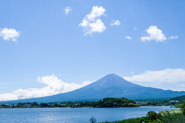 Fototapeta premium 山梨県河口湖と湖畔のラベンダー畑と富士山