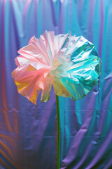 Gerbera flower made out of plastic bag. Clean earth, nature concept