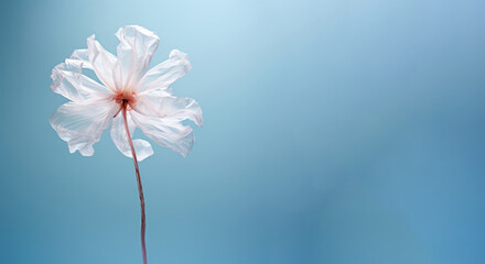 Obraz premium Gerbera flower made of plastic bag. Clean earth, nature concept