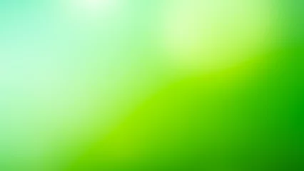  Soft light green background © naka