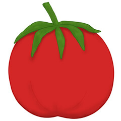 fresh red tomato drawing illustration