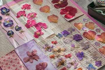 beautiful variety of pressed flower bookmarks close up