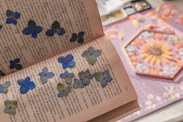 Pressed blue hydrangeas on a book