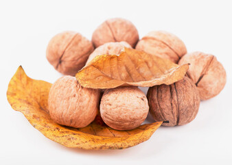 Fresh ripe Walnut with dried leaves isolated on a white background.