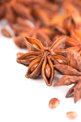 anisetree anise. Spices and dry herbs. Whole Star Anise isolated on white background