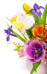 Fototapeta na wymiar Bright spring bouquet in a white vase. spring flowers, daffodils, tulips, hyacinths, irises and mimosa isolated on a white background
