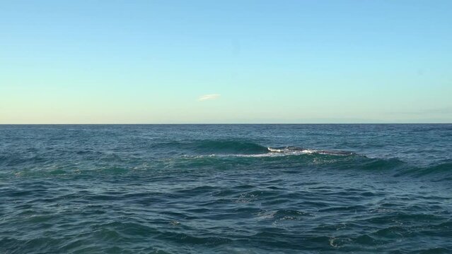 Waves moving slowly at sea