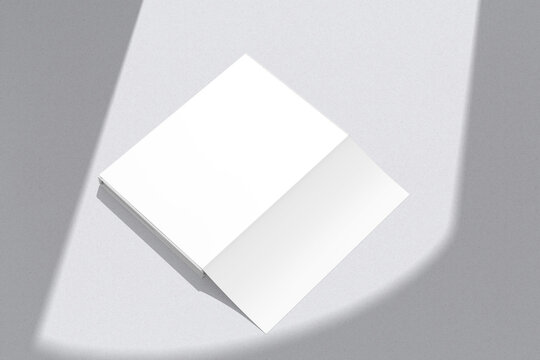  Book Dust With Jacket Mockup Blank