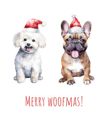 Watercolor Christmas french bulldog and bichon. Xmas cute dog in hat, tie and bow. Merry Christmas bulldog. AI generated.