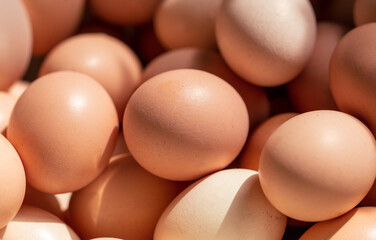 Eggs in a box. Close-up.