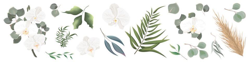 Mix of herbs and plants vector collection. Juicy eucalyptus, deadwood, green plants and leaves. All elements are isolated. White orchid branch with eucalyptus. Vector illustration © Alena