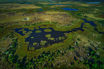 Aerial landscape in Okavango delta, Botswana. Lakes and rivers, view from airplane. Green...