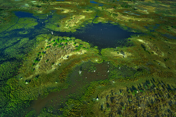 Aerial landscape in Okavango delta, Botswana. Lakes and rivers, view from airplane. Green...