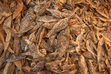 Madagascar fish market, travel in Africa. Dried fish with salt in the town market, Antananarivo in Madagascar. Close-up detail on river anamal.