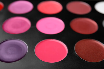 Cream lipstick palette as background, closeup. Professional cosmetic product