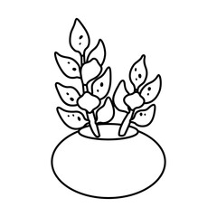 Cactus and succulent line style vector illustration