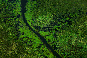 Green river, aerial landscape in Okavango delta, Botswana. Lakes and rivers, view from airplane. Vegetation in South Africa. Trees with water in rainy season. - 619318330