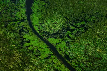 Gardinen Green river, aerial landscape in Okavango delta, Botswana. Lakes and rivers, view from airplane. Vegetation in South Africa. Trees with water in rainy season. © ondrejprosicky
