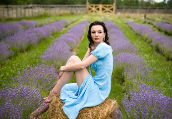 beautiful brunette smiling woman in blue dress sitting on the straw bale in lavender field on...