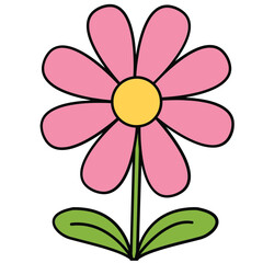 flower isolated on white