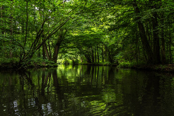 Mit dem Kajak unterwegs im Unterspreewald 1