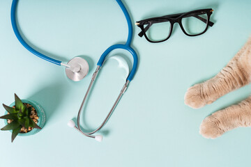 Cat paws, eyeglasses and stethoscope isolated on blue background. Cat on reception at veterinary...