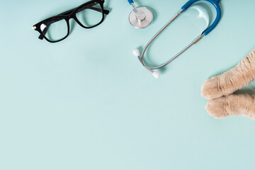 Cat paws on reception at veterinary doctor in vet clinic. Cat lying near stethoscope and eyeglasses...