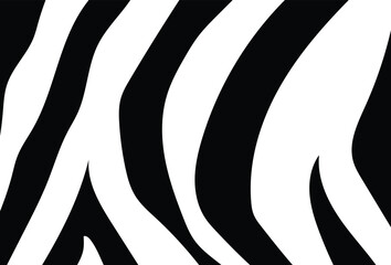 Zebra print, zebra pattern background. vector illustration © bigjom