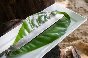 Knife  for cutting cake in wedding celebration.