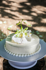 Wedding Cake with Flowers on Top.