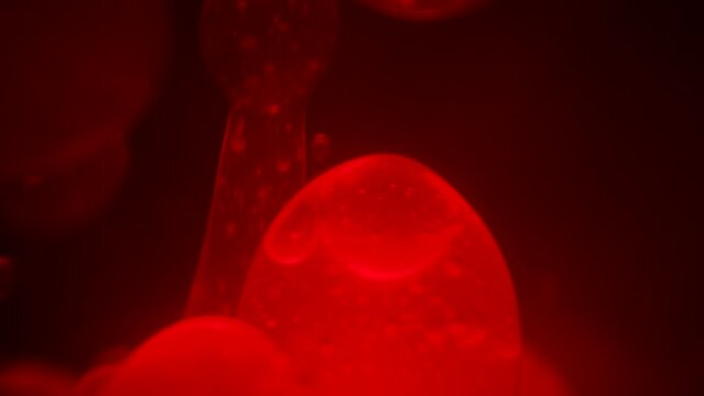 Close up macro view of the lava balls floating inside a lava lamp