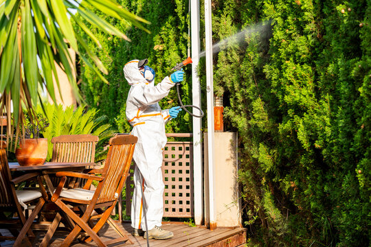 Exterminator spraying insecticide on plants in garden