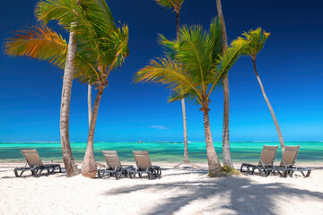 Exotic sland beach with palm trees on the Caribbean Sea shore, summer tropical destination