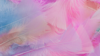 Fototapeta na wymiar pink feather wool pattern texture background