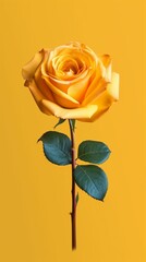 Yellow rose flower copy space blurred background. AI Generated