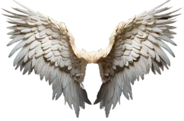 Fotobehang stunning oversized fantasy angel wings © JoseLuis