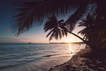 Tropical island beach with palm trees on the Caribbean Sea shore at sunrise - obrazy, fototapety, plakaty
