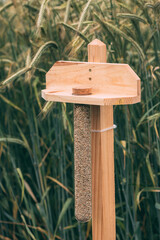 Barley grain sample in a tube in front of cultivated field, vertical image