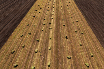 Alfalfa square hay bales in field after harvest, aerial view