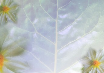 Colorful leaf texture background illustration art
