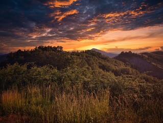 paesaggio collinare, colline italiane