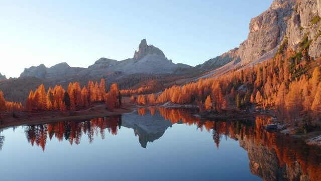 4k drone forward video (Ultra High Definition) of popular tourist destination - Federa lake among red larch trees. Impressive sunrise in Dolomite Alps. Gorgeous morning scene of Italy, Europe.