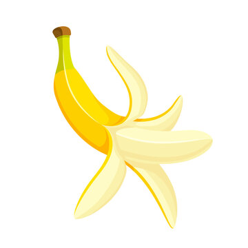Opened banana in cartoon style. Flat design. Yellow banana isolated on white background. Vector illustration