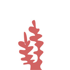 Obraz premium Red Coral