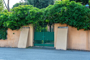 Facade fence with a green bushes and flower