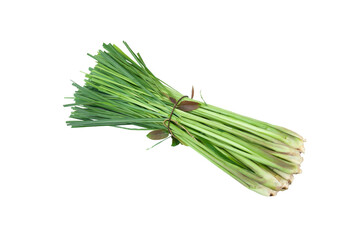 Lemongrass or Cymbopogon citratus isolated on transparent background.