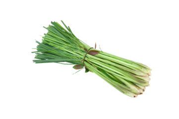 Lemongrass or Cymbopogon citratus isolated on transparent background.